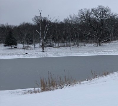 Winter pond at Hidden Timber Farm horse pasture boarding